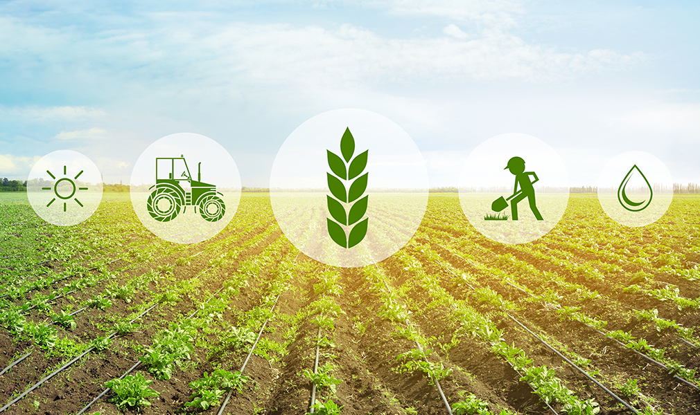 Growth-of-Agricultural-Sector-in-EU-countries-and-Russia