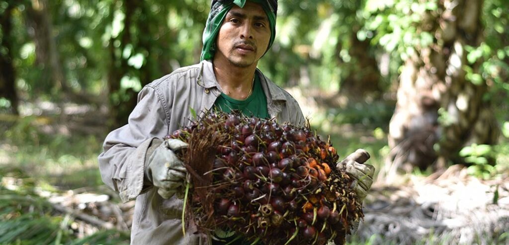 WhatsApp Image 2023-09-05 at 23.38.32